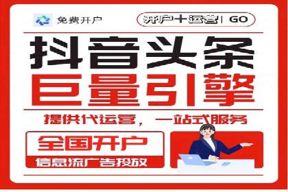 SEM代运营服务公司案例分析：数据驱动营销策略